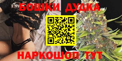 индика Нягань