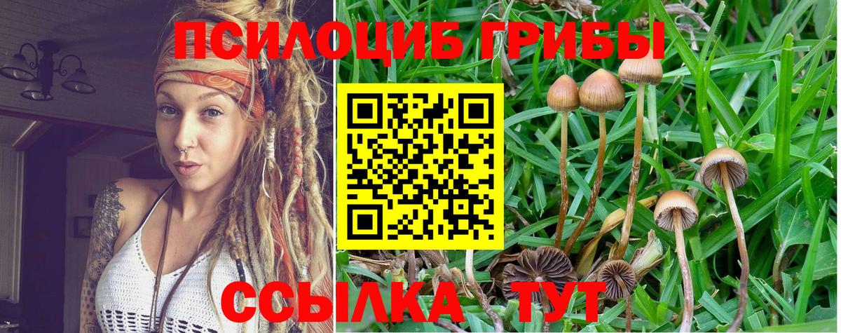 Галлюциногенные грибы ЛСД Тамбов